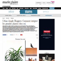 Urban Jungle Bloggers sélection Grandes Plantes Marie Claire Maison