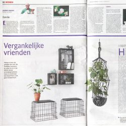 Urban Jungle Bloggers in 1 million Dutch newspapers from Wegener Groep