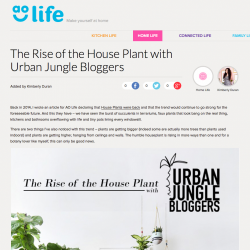 Urban Jungle Bloggers on AO Life - The Rise of the House Plant