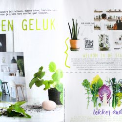 Urban Jungle Bloggers in Home and Garden NL