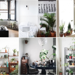 Urban Jungle Bloggers - Favorite Instagram account on Roomed.nl