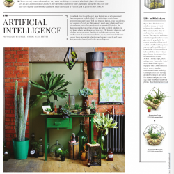 Warehouse Home - Urban Jungle Bloggers june 2015