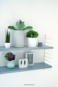 urbanjunglebloggers, plantshelfie