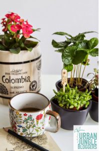 #urbanjunglebloggers plants and coffee