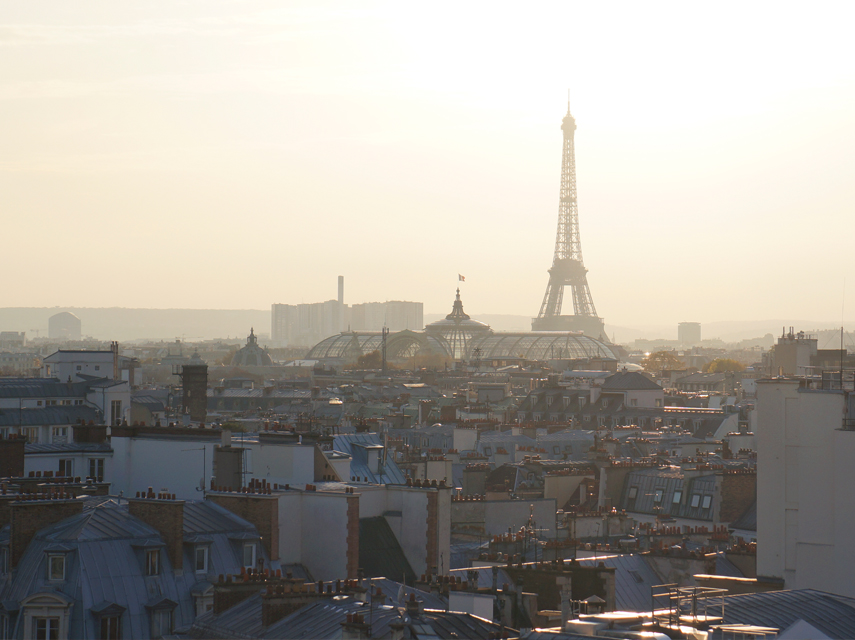 Urban Jungle Bloggers video feature in Paris