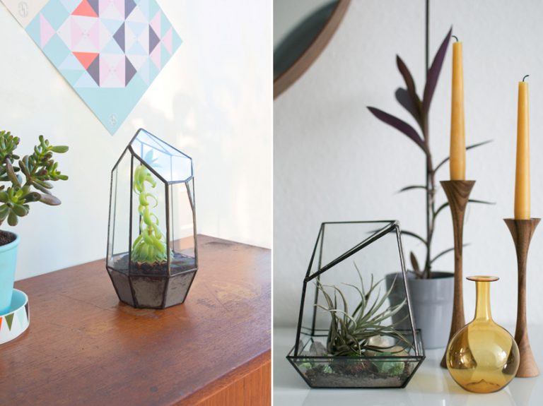 We are giving away 2 Urban Jungles glass terrariums!