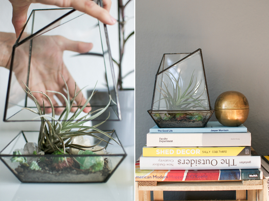 Urban Jungles glass terrarium giveaway