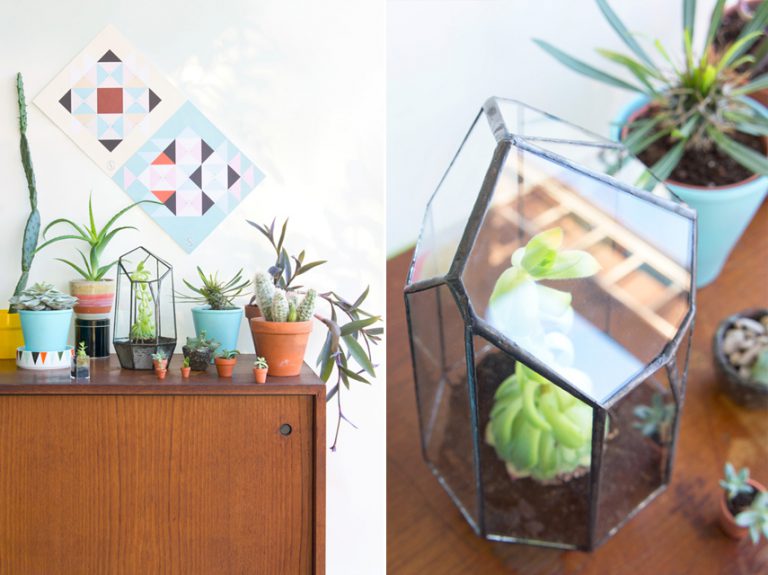 We are giving away 2 Urban Jungles glass terrariums!