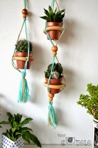 urbanjunglebloggers, plants, hanging planters