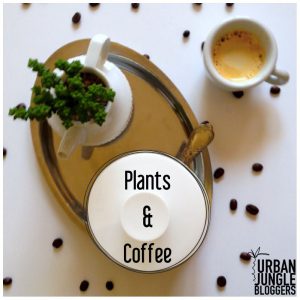 urbanjunglebloggers, coffee, plants