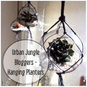 urbanjunglebloggers, plants, hanging planters