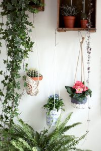 urbanjunglebloggers, plants, hanging planters