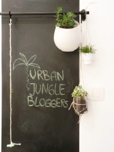 urbanjunglebloggers, plants, hanging planters