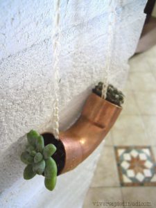 urbanjunglebloggers, plants, hanging planters