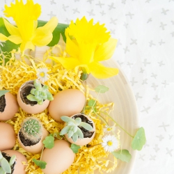 Urban Jungle Bloggers Easter stylings