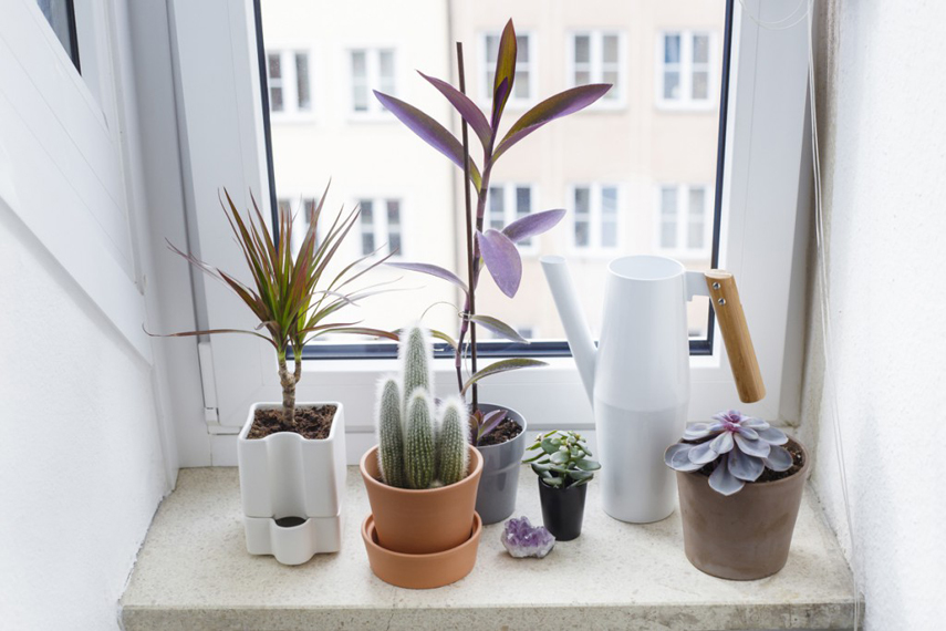 Go Green with IKEA and Urban Jungle Bloggers