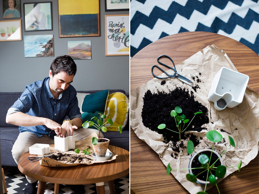 Go Green with IKEA and Urban Jungle Bloggers