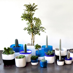 Urban Jungle Bloggers Tina Frey Designs