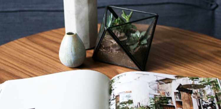 Urban Jungle Bloggers The Country Shed book
