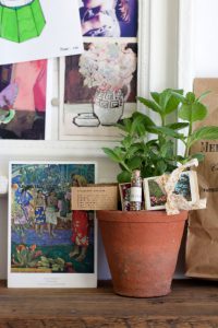 urbanjunglebloggers, plant gift, plants