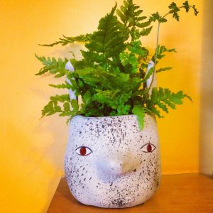 urbanjunglebloggers, plant gift, plants