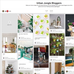 Urban Jungle Bloggers Pinterest