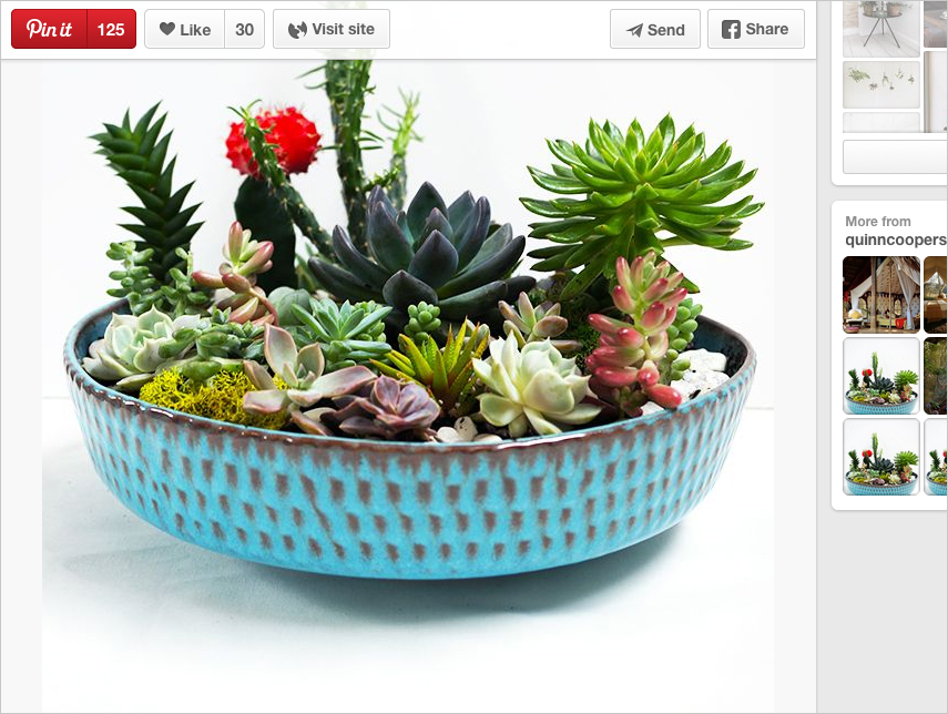 Urban Jungle Bloggers love Pinterest