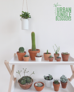 urbanjunglebloggers, plantgang, plant gang