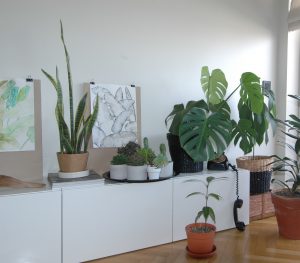 urbanjunglebloggers, plantgang, plant gang