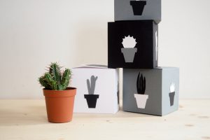 urbanjunglebloggers, plant gift, plants