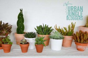 urbanjunglebloggers, plantgang, plant gang