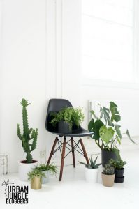 urbanjunglebloggers, plantgang, plant gang