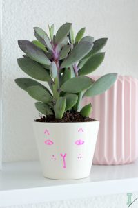 urbanjunglebloggers, plant gift, plants