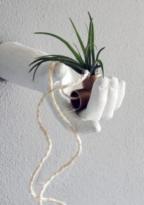 urbanjunglebloggers, plant gift, plants