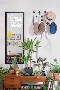 urbanjunglebloggers, plantgang, plant gang