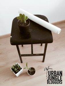 urbanjunglebloggers, plantgang, plant gang