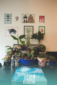 urbanjunglebloggers, plantgang, plant gang