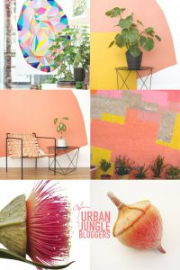 urbanjunglebloggers, plantcolorpop