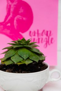 Urban Jungle Bloggers #Plantcolorpop