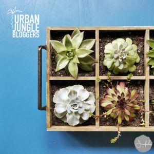 urbanjunglebloggers, plantcolorpop