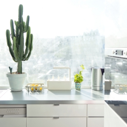 Urban Jungle Bloggers Click and Grow herb garden