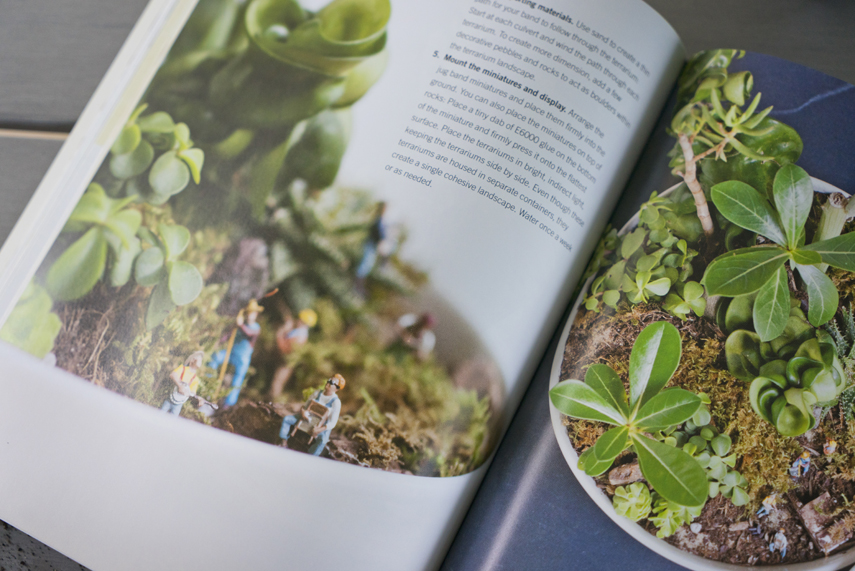 Modern Terrarium book review