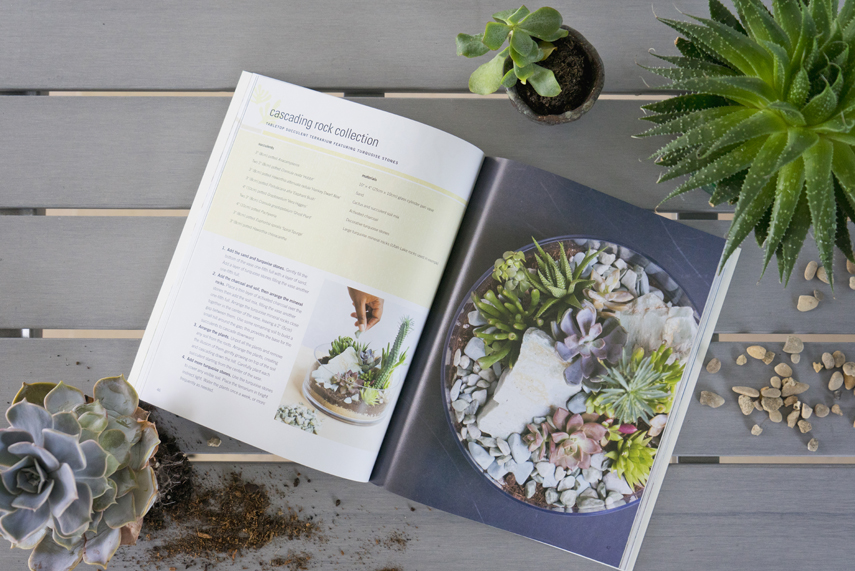 Modern Terrarium book review