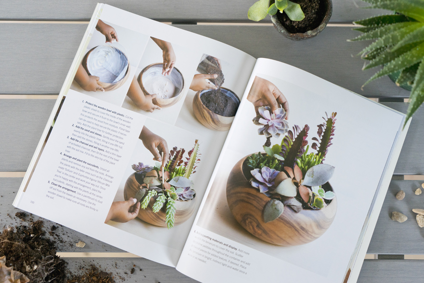 Modern Terrarium book review