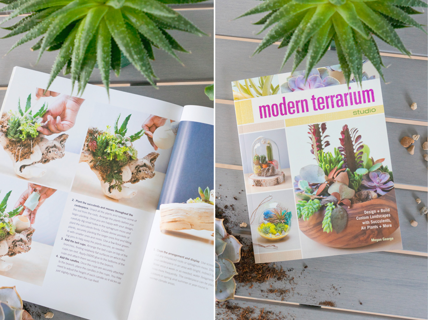 Modern Terrarium book review