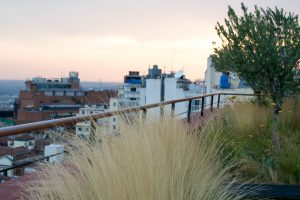 Praktik Metropol hotel Madrid Spain