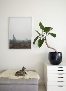 urbanjunglebloggers, plants, art