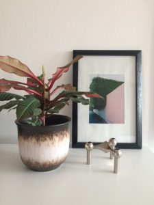 urbanjunglebloggers, plants, art