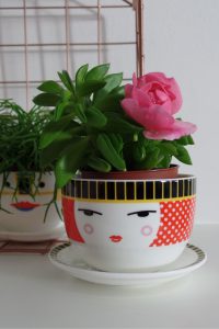 urbanjunglebloggers, plants, flowers