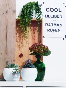 urbanjunglebloggers, plants, flowers